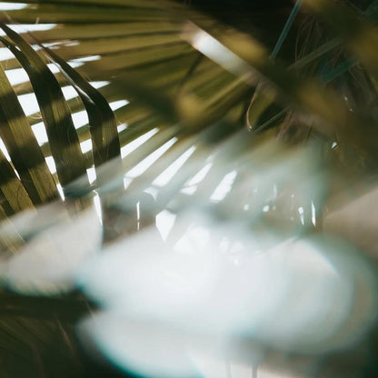 Split Diopter FX Filter